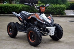 atv-800w-toy (1)
