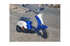 mini-vesta-350w-llanta-65