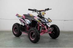 quad-monster-6pulgadas (1)