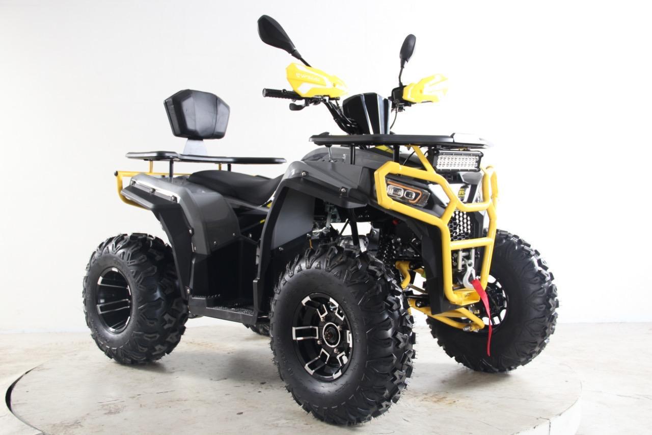 QUAD ATV 250CC 4T ZIZ RACING VIPER R10 - Imagen 3